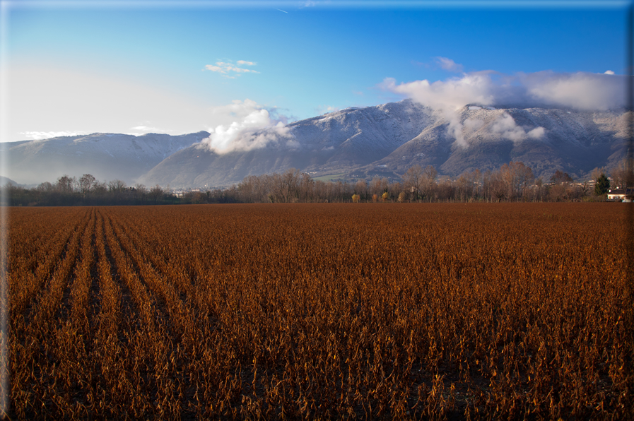 foto Pendici del Monte Grappa in Inverno